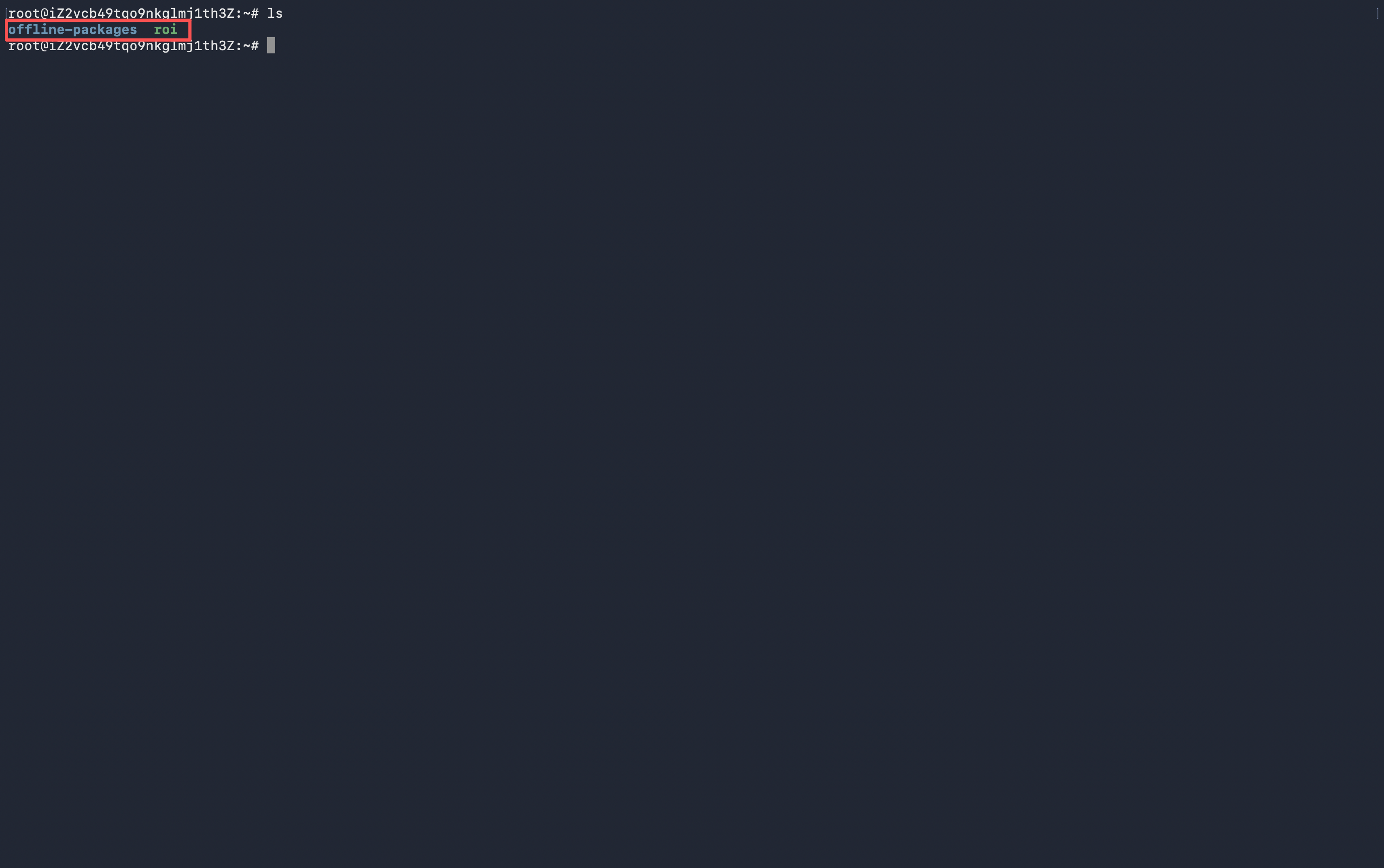 检查导入后的 roi 和 offline-packages 目录截图