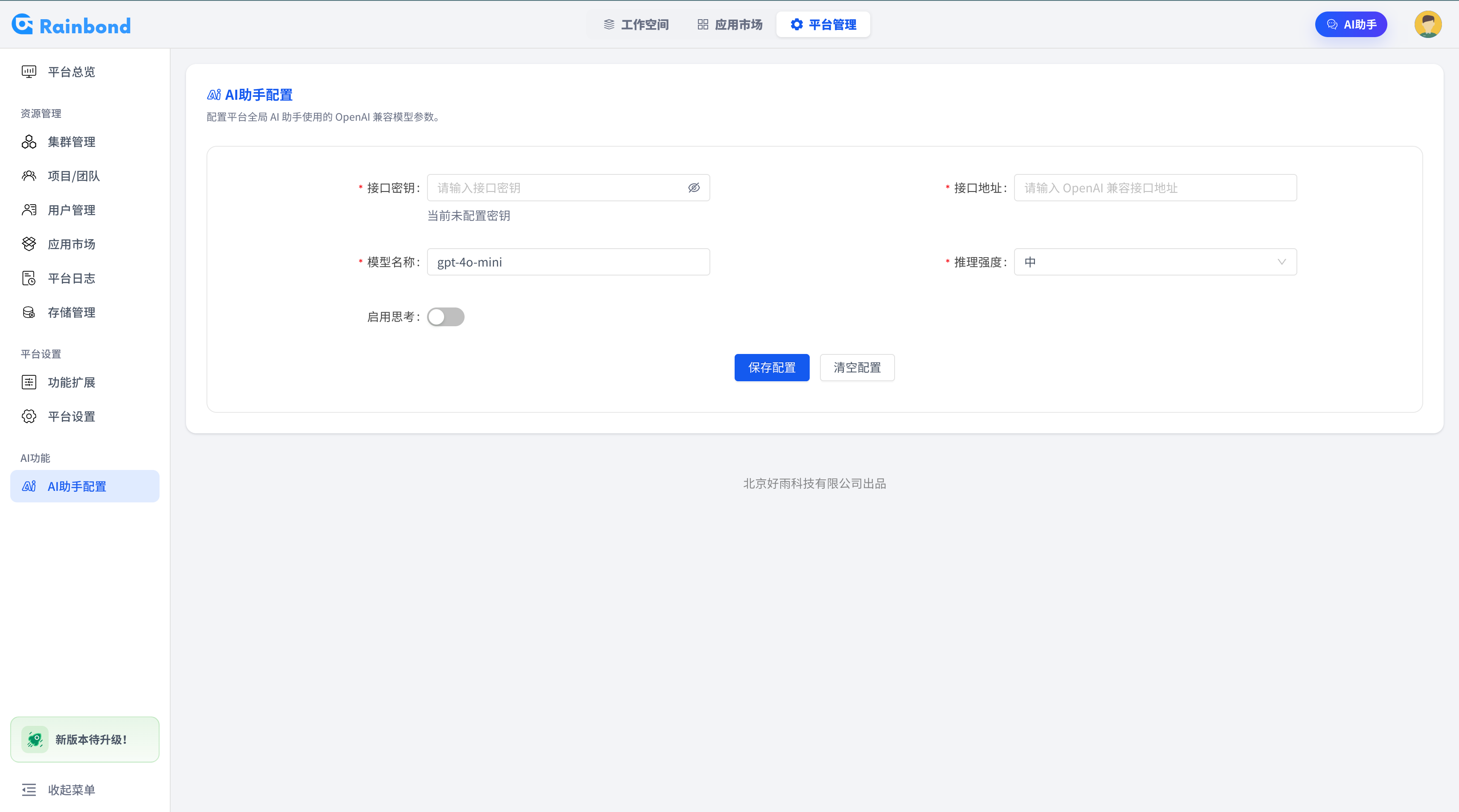 配置 RainAgent 大模型连接信息的页面截图