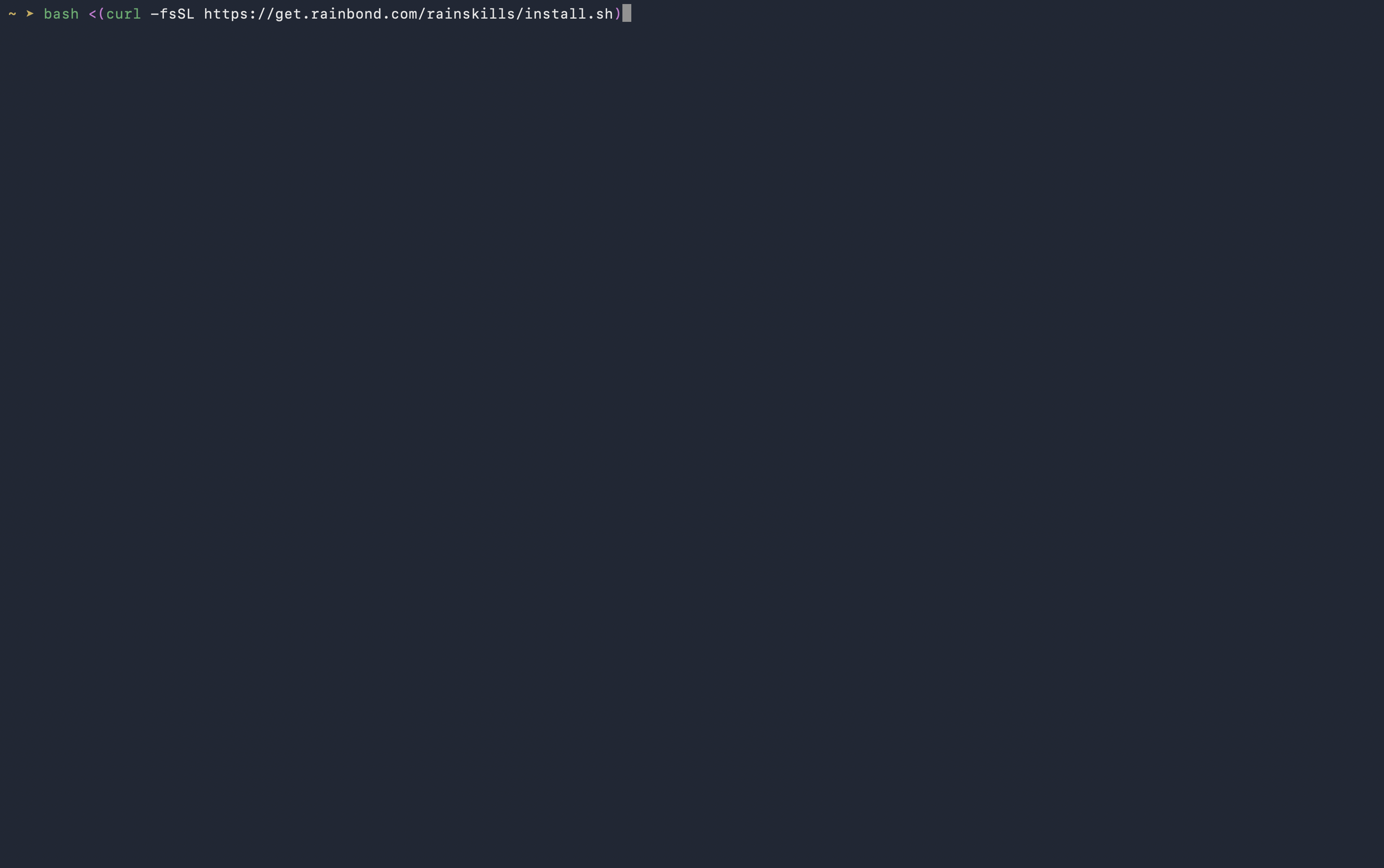 终端中执行 RainSkills 安装流程的截图
